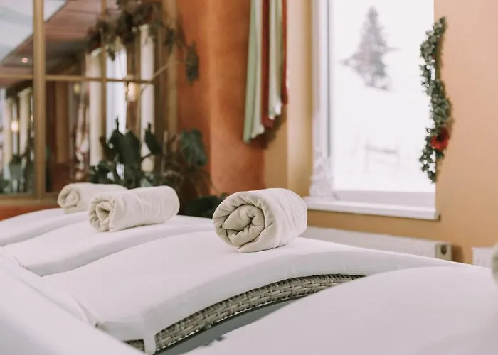 Montana Hotel 4*