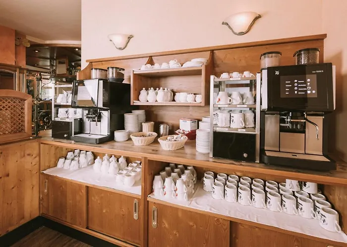 Montana Hotel 4*